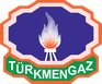 Türkmengaz — партнёр BERTYS CONSTRUCTION
